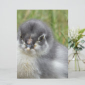 schatje baby (Staand voorkant)