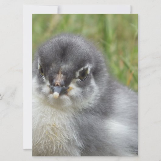schatje baby (Voorkant)