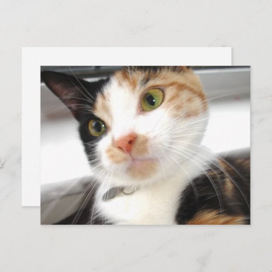 schatje briefkaart (Voorkant / Achterkant)