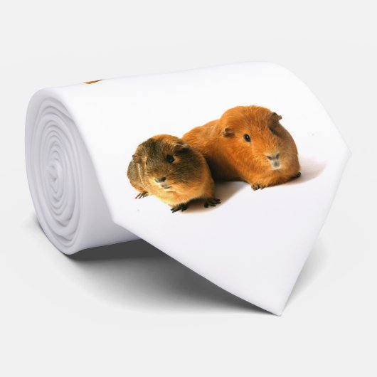 schatje stropdas (Opgerold)