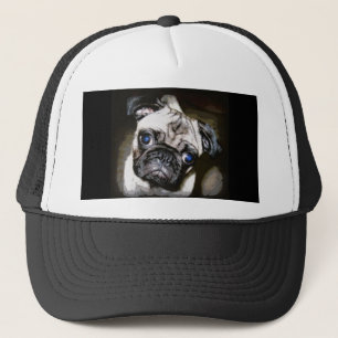 schatje trucker pet