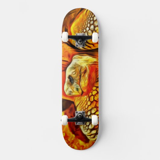 Schatkist Skateboard (Voorkant)