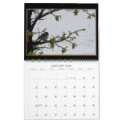 Schatten die elke dag worden gevonden. Kalender (Jan 2026)