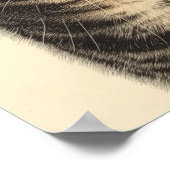 Schatten van de tabby van Dürer 1 Poster (Hoek)
