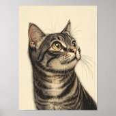 Schatten van de tabby van Dürer 1 Poster (Voorkant)