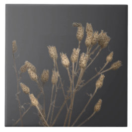 Schatten van de winter op een keramische Tegel - C Tegeltje