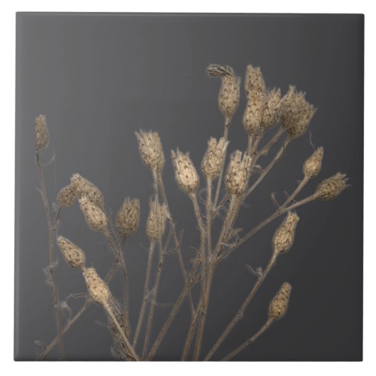 Schatten van de winter op een keramische Tegel - C Tegeltje (Voorkant)