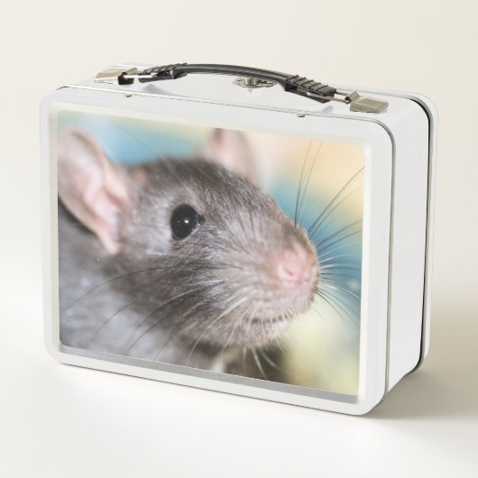 Schattig (Achterkant)