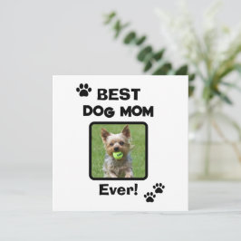 Schattig Aanpassen Beste Huisdier Hond Kat Moeder 