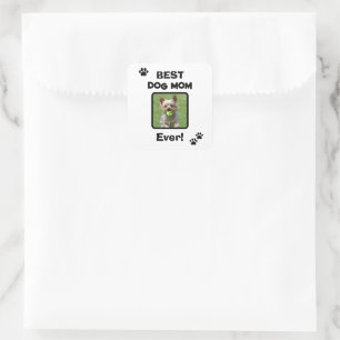 Schattig Aanpassen Beste Huisdier Hond Kat Moeder Vierkante Sticker