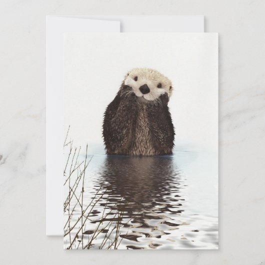 Schattig Aardig Donzig Otter Dier Kaart (Voorkant)