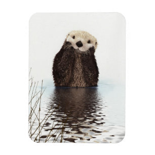 Schattig Aardig Donzig Otter Dier Magneet