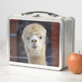 Schattig Alpaca-gezicht          (In situ)