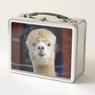 Schattig Alpaca-gezicht
