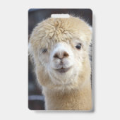 Schattig Alpaca gezicht  Badge (Achterkant)