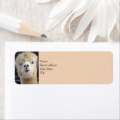 Schattig Alpaca-gezicht Etiket (Insitu)