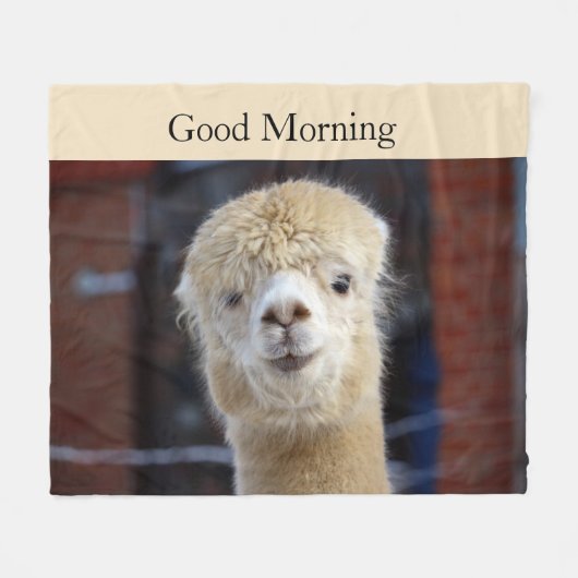 Schattig Alpaca gezicht Fleece Deken (Voorkant (Horizontaal))