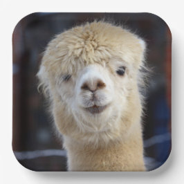 Schattig Alpaca-gezicht         Papieren Bordje