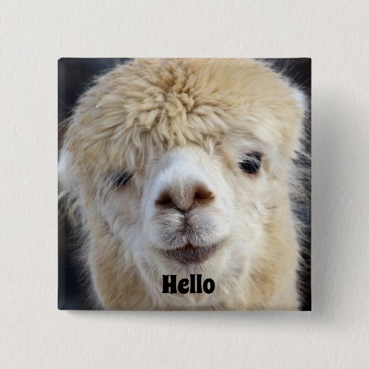 Schattig Alpaca-gezicht Vierkante Button 5,1 Cm (Voorkant)