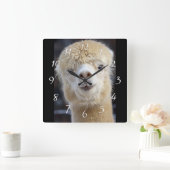 Schattig Alpaca-gezicht Vierkante Klok (Huis)