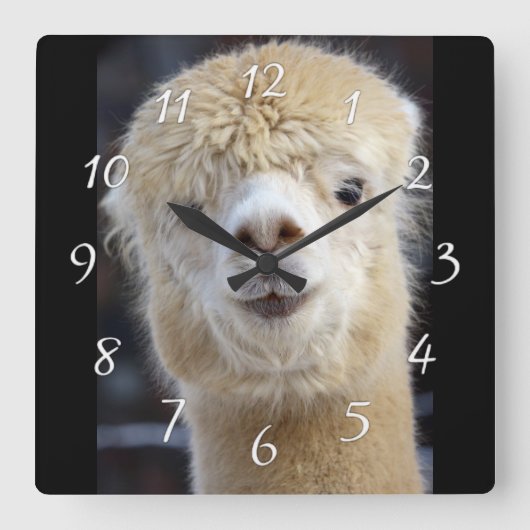 Schattig Alpaca-gezicht Vierkante Klok (Voorkant)