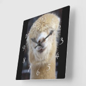 Schattig Alpaca-gezicht Vierkante Klok (Hoek)