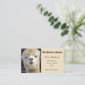 Schattig Alpaca-gezicht Visitekaartje (Staand voorkant)