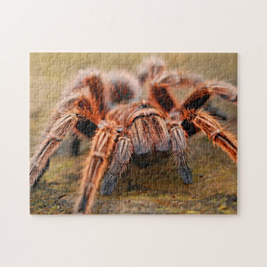 Schattig Arachnid Tarantula Spider Foto Puzzle Legpuzzel (Horizontaal)