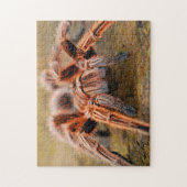 Schattig Arachnid Tarantula Spider Foto Puzzle Legpuzzel (Verticaal)