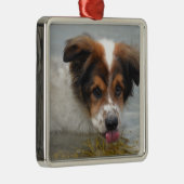 Schattig Australian Shepherd Metalen Ornament (Rechts)