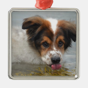 Schattig Australian Shepherd Metalen Ornament
