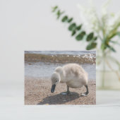 Schattig Baby Briefkaart (Staand voorkant)