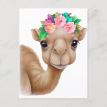 Schattig Baby Camel