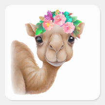 Schattig Baby Camel