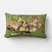 Schattig Baby Canada Gese op de gras Kussen (Voorkant)