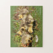 Schattig Baby Canada Gese op de gras Legpuzzel (Verticaal)