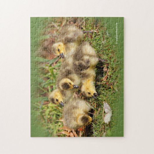 Schattig Baby Canada Gese op de gras Legpuzzel (Verticaal)