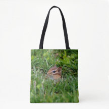 Schattig baby eekhoorn in het wild dier