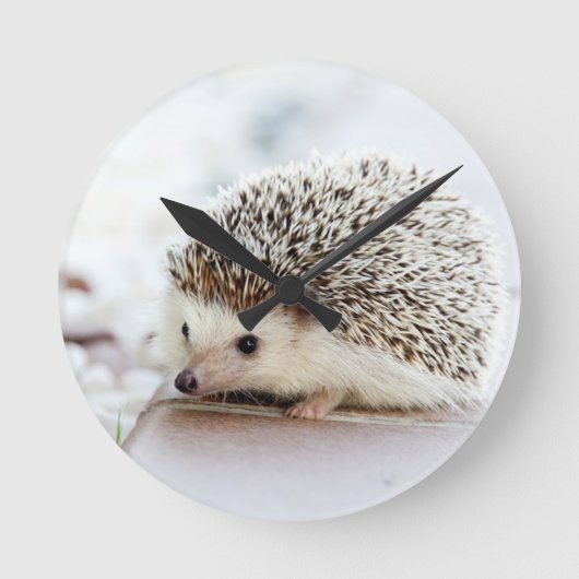 Schattig Baby Egeltje Ronde Klok (Voorkant)