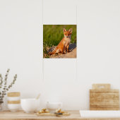 Schattig Baby Fox Wildlife Fotografie Poster (Keuken)