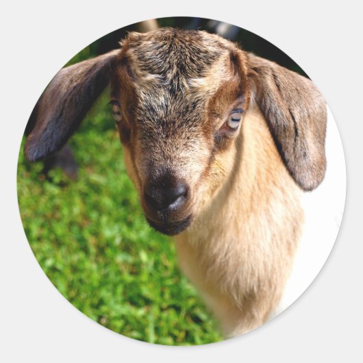 Schattig Baby Geitenvel van Stickers (Voorkant)