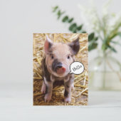 Schattig Baby Pig Gezegde Hallo Briefkaart (Staand voorkant)