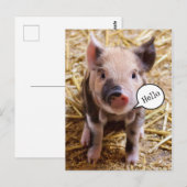 Schattig Baby Pig Gezegde Hallo Briefkaart (Voorkant / Achterkant)