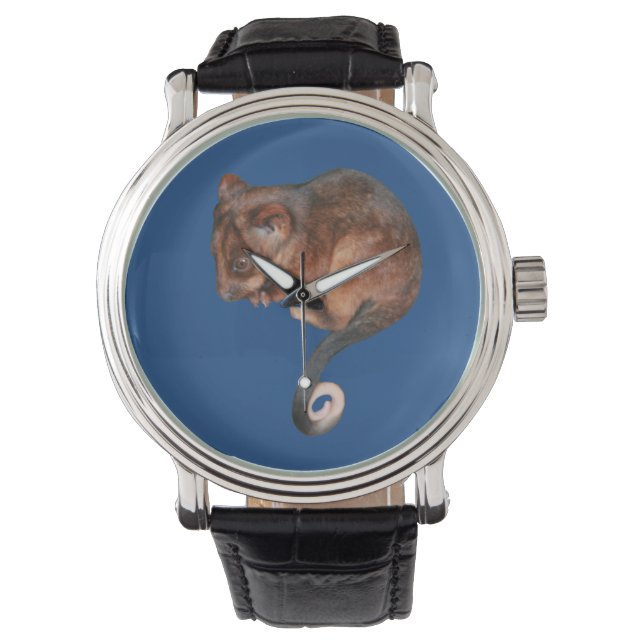 Schattig Baby Ringtail Possum in Australië Horloge (Voorkant)