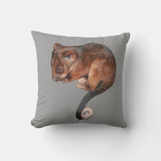 Schattig Baby Ringtail Possum in Australië Kussen (Voorkant)