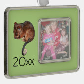 Schattig Baby Ringtail Possum in Australië Verzilverd Omlijst Ornament (Rechts)