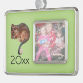 Schattig Baby Ringtail Possum in Australië Verzilverd Omlijst Ornament (Links)