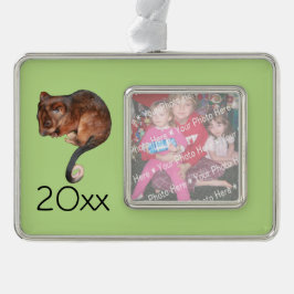 Schattig Baby Ringtail Possum in Australië Verzilverd Omlijst Ornament