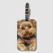 Schattig Bagagelabel (Voorkant (verticaal))