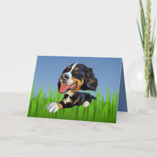Schattig Berner Mountain Dog Wenskaart Kaart